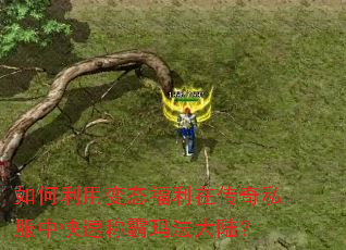 ������ñ�̬�����ڴ���˽���п��ٳư��귨��½��