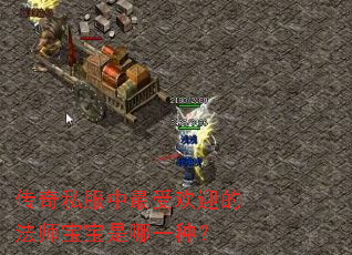 传奇私服中最受欢迎的法师宝宝是哪一种? 传奇私服中最受欢迎的法师宝宝是哪一种?