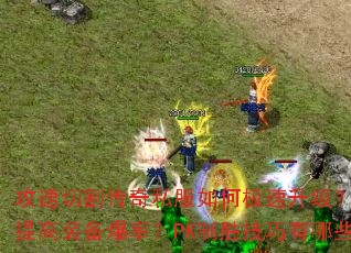 �����и��˽����μ����������������װ�����ʣ�PK��ʤ��������Щ��