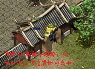 ����020�����ֹ��ԣ���δ�С�׿��ٳɳ�Ϊ���֣�