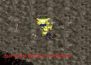 ��ο��ٴӲ���ɳ�Ϊ�������