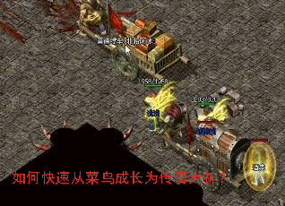 ��ο��ٴӲ���ɳ�Ϊ�������