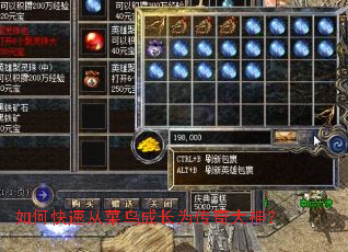 ��ο��ٴӲ���ɳ�Ϊ�������