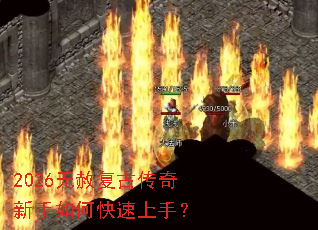 2026���⸴�Ŵ���������ο������֣�