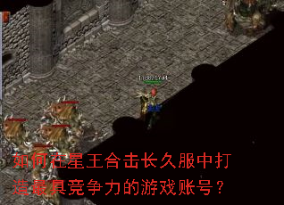 如何在星王合击长久服中打造最具竞争力的游戏账号? 如何在星王合击长久服中打造最具竞争力的游戏账号?