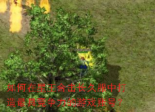 如何在星王合击长久服中打造最具竞争力的游戏账号? 如何在星王合击长久服中打造最具竞争力的游戏账号?