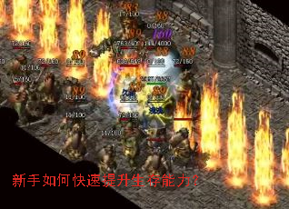 新手如何快速提升生存能力? 新手如何快速提升生存能力?