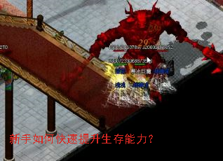 新手如何快速提升生存能力? 新手如何快速提升生存能力?