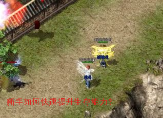 新手如何快速提升生存能力? 新手如何快速提升生存能力?