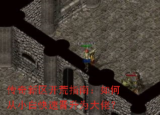 ������������ָ�ϣ���δ�С�׿��ٽ���Ϊ���У�