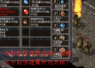 ������������ָ�ϣ���δ�С�׿��ٽ���Ϊ���У�