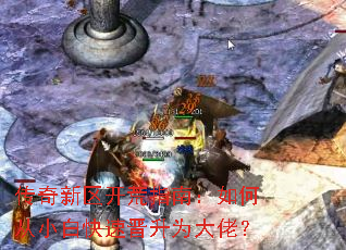 ������������ָ�ϣ���δ�С�׿��ٽ���Ϊ���У�