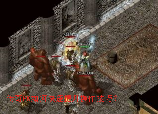 ����PK��ο��������������ɣ�