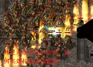 ת��ϵͳȫ����������θ�Ч���ӭ���·���