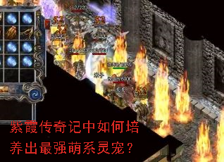 紫霞传奇记中如何培养出最强萌系灵宠? 紫霞传奇记中如何培养出最强萌系灵宠?