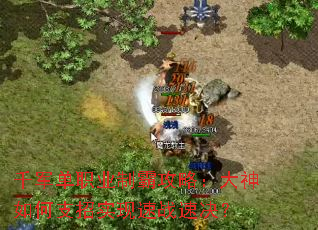 千军单职业制霸攻略:大神如何支招实现速战速决? 千军单职业制霸攻略:大神如何支招实现速战速决?
