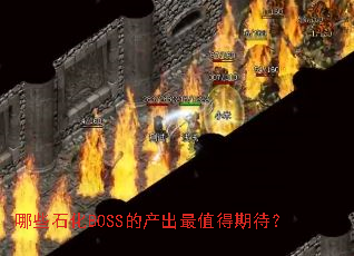 哪些石化BOSS的产出最值得期待? 哪些石化BOSS的产出最值得期待?