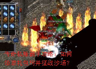 ����˽�����ֹ��ԣ������ȡ����벢��սɳ����