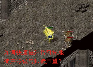 ��ο�����������˽��ͽ�ܵȼ���ʦͽ������