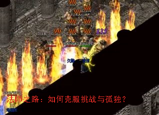 法师之路:如何克服挑战与孤独? 法师之路:如何克服挑战与孤独?