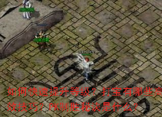 ��ο��������ȼ���������Щ��Ч���ɣ�PK��ʤ�ؾ���ʲô��