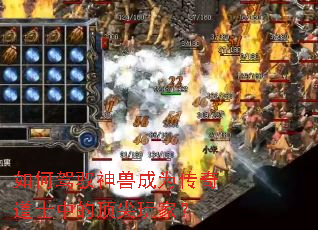 如何驾驭神兽成为传奇道士中的顶尖玩家? 如何驾驭神兽成为传奇道士中的顶尖玩家?