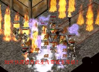 ��ο���������ʥ��������ȼ���