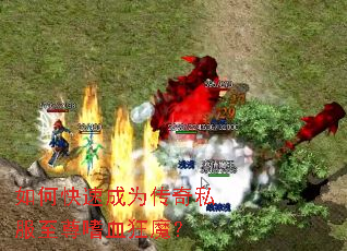 如何快速成为传奇私服至尊嗜血狂魔? 如何快速成为传奇私服至尊嗜血狂魔?