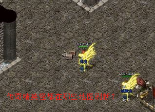 传奇精英怪都在哪些地图刷新? 传奇精英怪都在哪些地图刷新?