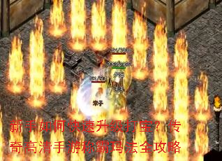 新手如何快速升级打宝?传奇高清手游称霸玛法全攻略 新手如何快速升级打宝?传奇高清手游称霸玛法全攻略