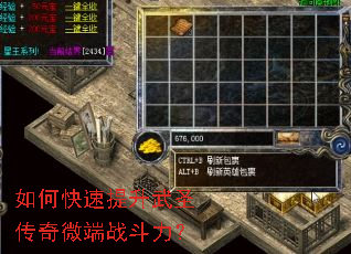 ��ο���������ʥ����΢��ս������