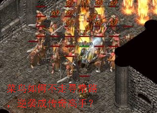 ������β���Ѱ��·����Ϯ�ɴ�����֣�