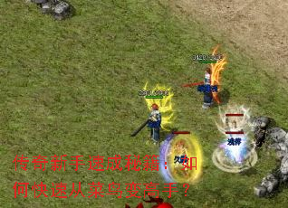 ���������ٳ��ؼ�����ο��ٴӲ������֣�