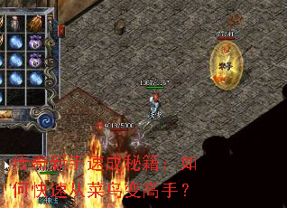 ���������ٳ��ؼ�����ο��ٴӲ������֣�