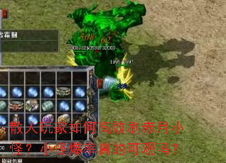 散人玩家如何高效刷赤月小怪?小怪爆率真的可观吗? 散人玩家如何高效刷赤月小怪?小怪爆率真的可观吗?