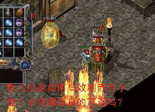 散人玩家如何高效刷赤月小怪?小怪爆率真的可观吗? 散人玩家如何高效刷赤月小怪?小怪爆率真的可观吗?