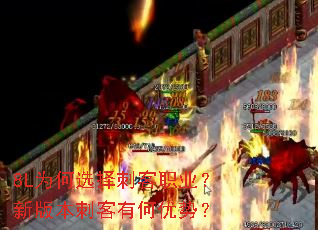 8L为何选择刺客职业?新版本刺客有何优势? 8L为何选择刺客职业?新版本刺客有何优势?