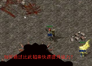 如何通过比武招亲快速提升战力? 如何通过比武招亲快速提升战力?