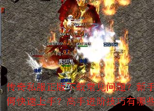 ����˽���������س������⣿������ο������֣����ֽ��׼�������Щ��