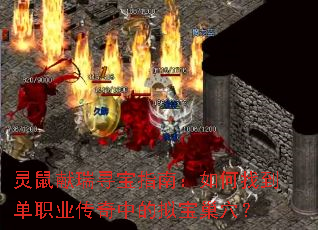 ��������Ѱ��ָ�ϣ�����ҵ���ְҵ�����е��ⱦ��Ѩ��