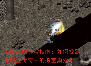 ��������Ѱ��ָ�ϣ�����ҵ���ְҵ�����е��ⱦ��Ѩ��