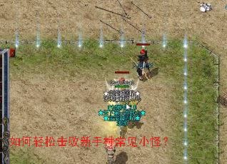 ������ɻ������ִ峣��С�֣�