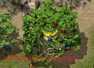 ������γ�Ϊ�ҽύ���ѵ�������