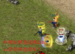 �������ͨ����սbossʵ�ֿ��ٳɳ���