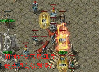 ����ñ�̬��Ѫ���淨ʦ��Чˢ�֣�