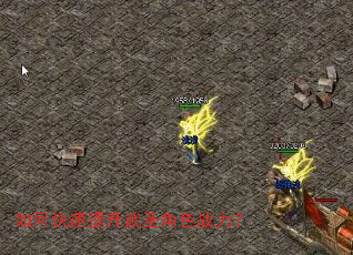 ��ο���������ʥ��ɫս����