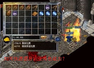 ��ο���������ʥ��ɫս����