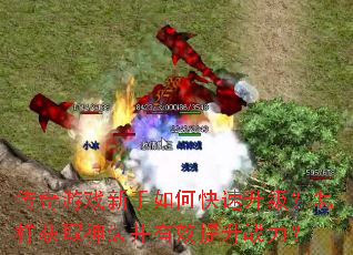 ������Ϸ������ο���������������ȡ��װ����Ч����ս����