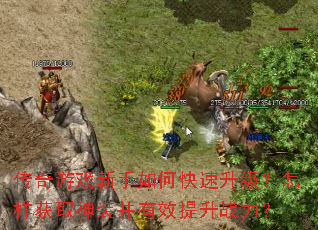 ������Ϸ������ο���������������ȡ��װ����Ч����ս����