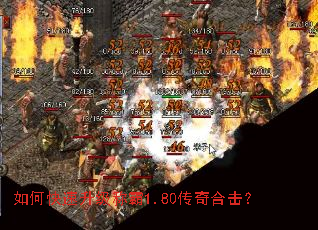 ��ο��������ư�1.80����ϻ���